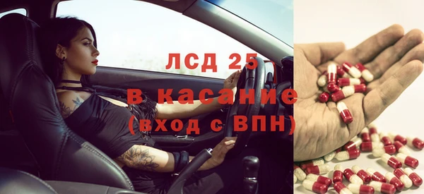 эйфоретик Алзамай