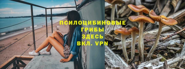 мескалин Алексин