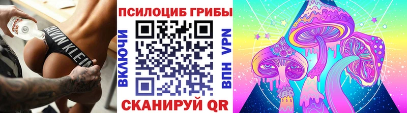 магазин продажи наркотиков Олонец Псилоцибиновые грибы прущие грибы